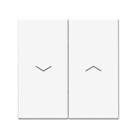 ARTGALLERY 2-клавишный ВЫКЛЮЧАТЕЛЬ ДЛЯ ЖАЛЮЗИ, 2х сх.4, 10А, механизм, БЕЛЫЙ ARTGALLERY 2-клавишный ВЫКЛЮЧАТЕЛЬ ДЛЯ ЖАЛЮЗИ, 2х сх.4, 10А, механизм, БЕЛЫЙ