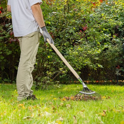 Грабли веерные стальные, 385 х 1450 мм, 20 плоских зубьев, деревянный черенок, Сибртех