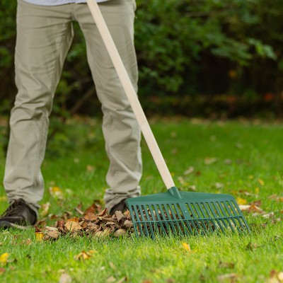 Грабли веерные пластиковые, 420 мм, 22 плоских зуба, без черенка, Сибртех