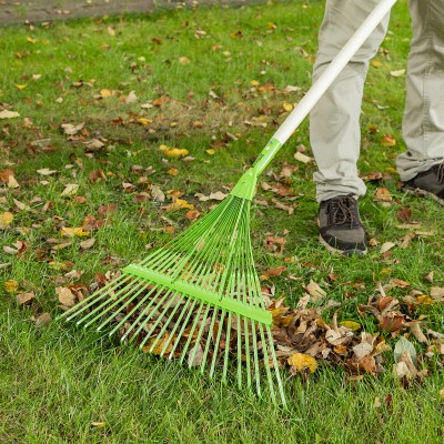 Грабли веерные стальные, 565 мм, 22 плоских зуба, эмалированные, усиленные, без черенка, Palisad Грабли веерные стальные, 565 мм, 22 плоских зуба, эмалированные, усиленные, без черенка, Palisad