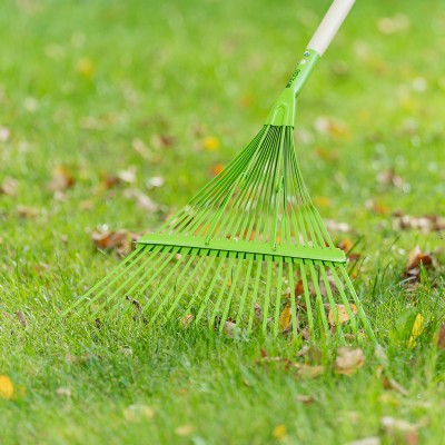 Грабли веерные стальные, 565 мм, 22 плоских зуба, эмалированные, усиленные, без черенка, Palisad Грабли веерные стальные, 565 мм, 22 плоских зуба, эмалированные, усиленные, без черенка, Palisad