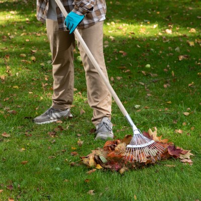 Грабли веерные стальные, 350 мм, 18 круглых зубьев, оцинкованные, без черенка, Сибртех