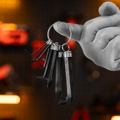 Набор ключей имбусовых HEX, 1.5-10 мм, CrV, 10 шт, оксидированные, на кольце Sparta