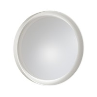 3030/DL SN 017 Светильник пластик LED 48Вт 3000-6500K D410 IP43 пульт ДУ/ LampSmart BIONIC