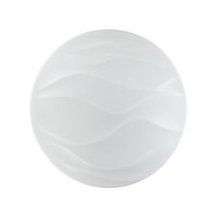 2090/DL PALE SN 067 Светильник пластик/белый LED 48Вт 3000-6300K D440 IP43 пульт ДУ ERICA 2090/DL PALE SN 067 Светильник пластик/белый LED 48Вт 3000-6300K D440 IP43 пульт ДУ ERICA