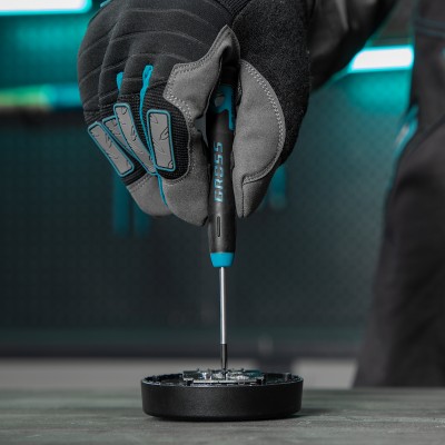 Набор отверток для точной механики, CrMo, двухкомпонентные рукоятки, 6 шт, пластиковый бокс Gross Набор отверток для точной механики, CrMo, двухкомпонентные рукоятки, 6 шт, пластиковый бокс Gross