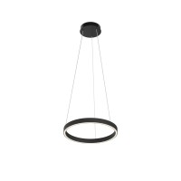 Подвесной светильник Maytoni MOD058PL-L22BK