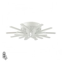 8029/80CL LEDIO LN25 248 белый/белый, металл/акрил Потолочный светильник с ПДУ LED 80W 3000-6000К 220V ALBERTA