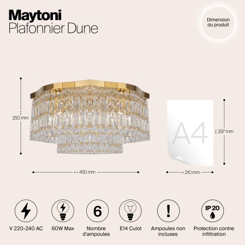 Потолочный светильник Maytoni DIA005CL-06G