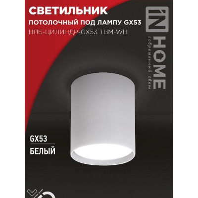 Светильник потолочный НПБ-ЦИЛИНДР-GX53 TBM-WH 80х90мм белый IN HOME