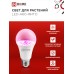 Лампа светодиодная LED-A60-ФИТО 15Вт 230В Е27 IN HOME