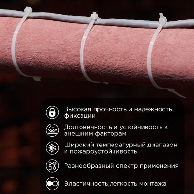 Стяжка кабельная нейлоновая 400x7,6мм, белая (100 шт/уп) REXANT