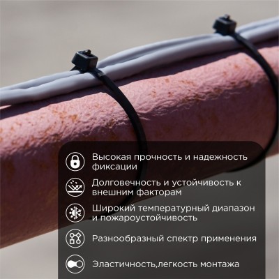 Стяжка кабельная нейлоновая 250x4,8мм, черная (100 шт/уп) REXANT