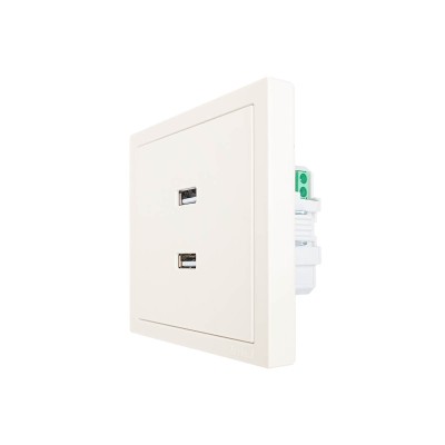 ZIMA Розетка 2-ая USB разъем слоновая кость