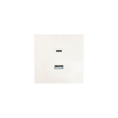 ZIMA Розетка TC+ USB разъем слоновая кость