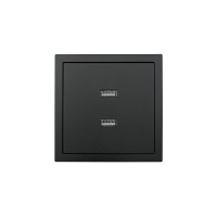 ZIMA Розетка с 2-ая USB разъем черный бархат