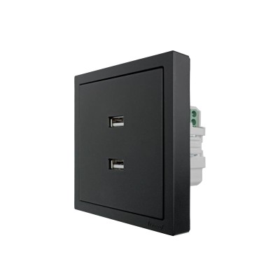 ZIMA Розетка с 2-ая USB разъем черный бархат