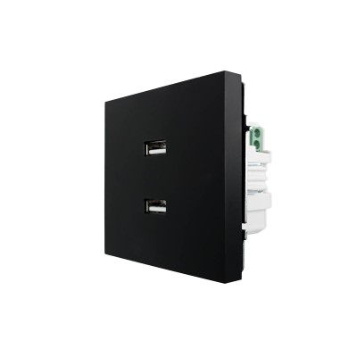ZIMA Розетка с 2-ая USB разъем черный бархат