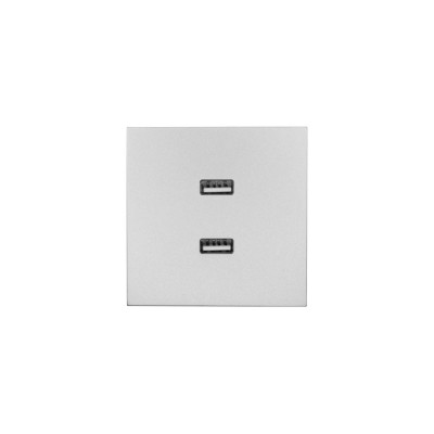 ZIMA Розетка 2-ая USB разъем серый матовый