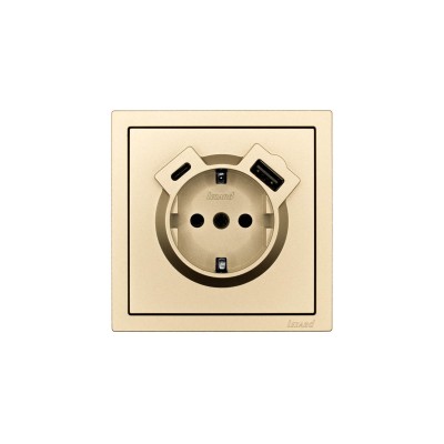 ZIMA Розетка с/з TC + USB разъем золото
