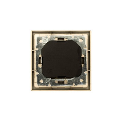 ZIMA Розетка с/з TC + USB разъем золото