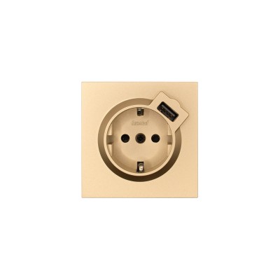 ZIMA Розетка с/з + USB разъем золото