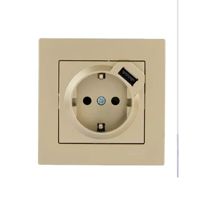 VESNA Розетка сз + USB разъём золото