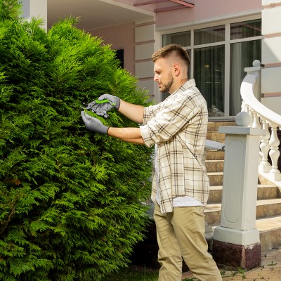 Секатор прямого реза, 200 мм, металлические рукоятки, верхняя в ПВХ - оболочке, Сибртех