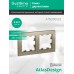 ATLASDESIGN 2-постовая РАМКА, универсальная, ШАМПАНЬ