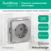 ATLASDESIGN РОЗЕТКА с заземлением без шторок, 16А, механизм, АЛЮМИНИЙ