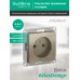 ATLASDESIGN РОЗЕТКА без заземления без шторок, 16А, механизм, ШАМПАНЬ