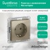 ATLASDESIGN РОЗЕТКА с заземлением без шторок, 16А, механизм, ШАМПАНЬ