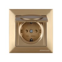 Розетка 1-ая (скрытая, с/з, шторки,с крышкой) золото, DARIA, MUTLUSAN Розетка 1-ая (скрытая, с/з, шторки,с крышкой) золото, DARIA, MUTLUSAN