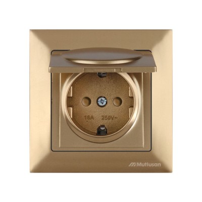 Розетка 1-ая (скрытая, с/з, шторки,с крышкой) золото, DARIA, MUTLUSAN