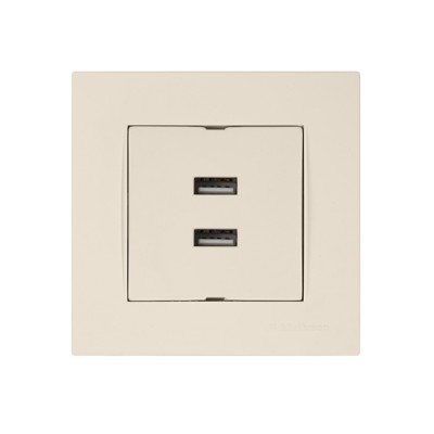 Розетка компьютерная 2хUSB (скрытая, горизонт.) кремовая, RITA, MUTLUSAN