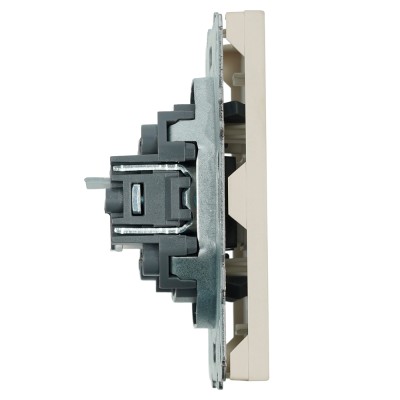 Розетка компьютерная 1-местная RJ-45 (механизм), серия Эмили, RST00-5117-08, кашемир, soft touch 49899