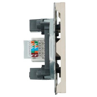 Розетка компьютерная 1-местная RJ-45 (механизм), серия Эмили, RST00-5117-08, кашемир, soft touch 49899