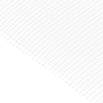 Сетка стеклотканевая малярная (2 х 2 мм) 1000 мм х 10 м Matrix