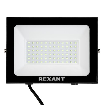Прожектор цветного свечения (зеленый) 100Вт REXANT Прожектор цветного свечения (зеленый) 100Вт REXANT