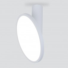 Накладной светодиодный светильник DLS029 Elektrostandard