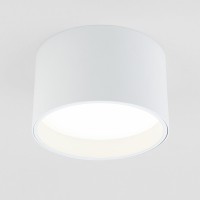 Светильник потолочный светодиодный Banti 13W 4200K белый 25123/LED
