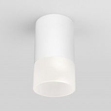 Накладной светодиодный влагозащищенный светильник IP54 35139/H белый Elektrostandard