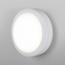 LTB51 4200К белый пылевлагозащищенный светодиодный светильник LTB51 Elektrostandard