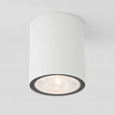 Уличный потолочный светильник Light LED 2103 IP65 35131/H белый 105