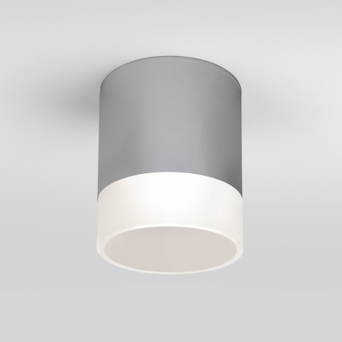 Уличный потолочный светильник Light LED 2107 IP54 35140/H серый 176.3