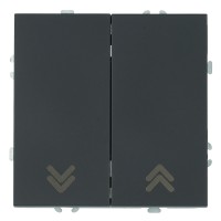 Выключатель 2-клавишный самовозвратный (механизм), STEKKER, 250В, 10А, серия Эмили, RSW10-5113-05, черный уголь, soft touch 50327