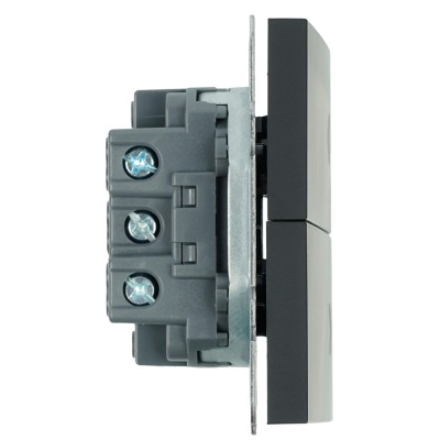 Выключатель 2-клавишный самовозвратный (механизм), STEKKER, 250В, 10А, серия Эмили, RSW10-5113-05, черный уголь, soft touch 50327